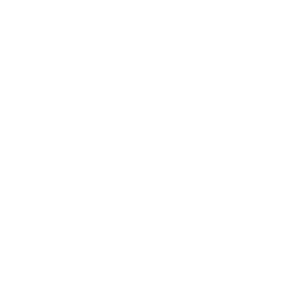 Algo Jungle Logo